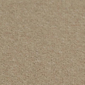 Wool carpet image